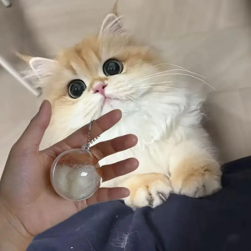 Новый-4-2-1-шт-коробка-для-хранения-шерсти-домашних-животных-прозрачный-брелок-для-ключей-мемориальная-капсула-для-кошек-и-собак-подвесной-орнамент-«сделай-сам»-подарок-на-память