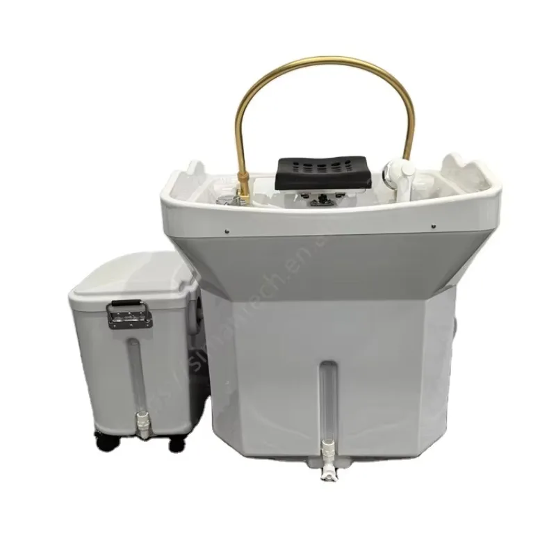 Portable Hair Wash Basin Backwash Sink Mobile Head Spa Shampoo Bowl Lavatesta Water Tank Salon Equipment for Hotel Living
