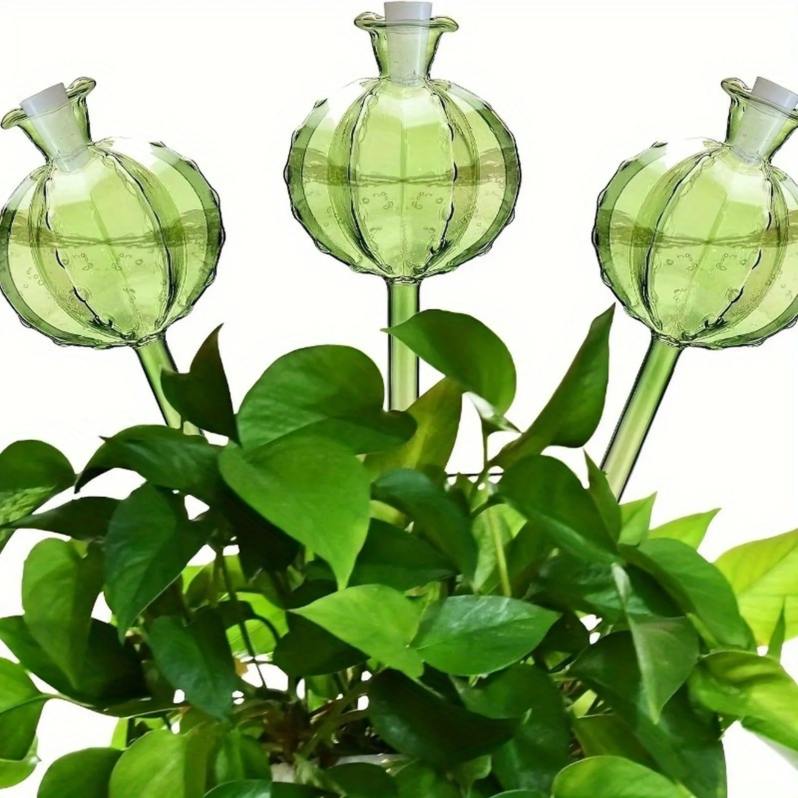 Globos de Irrigação Automática - Plant Watering Globe avaliação e preço