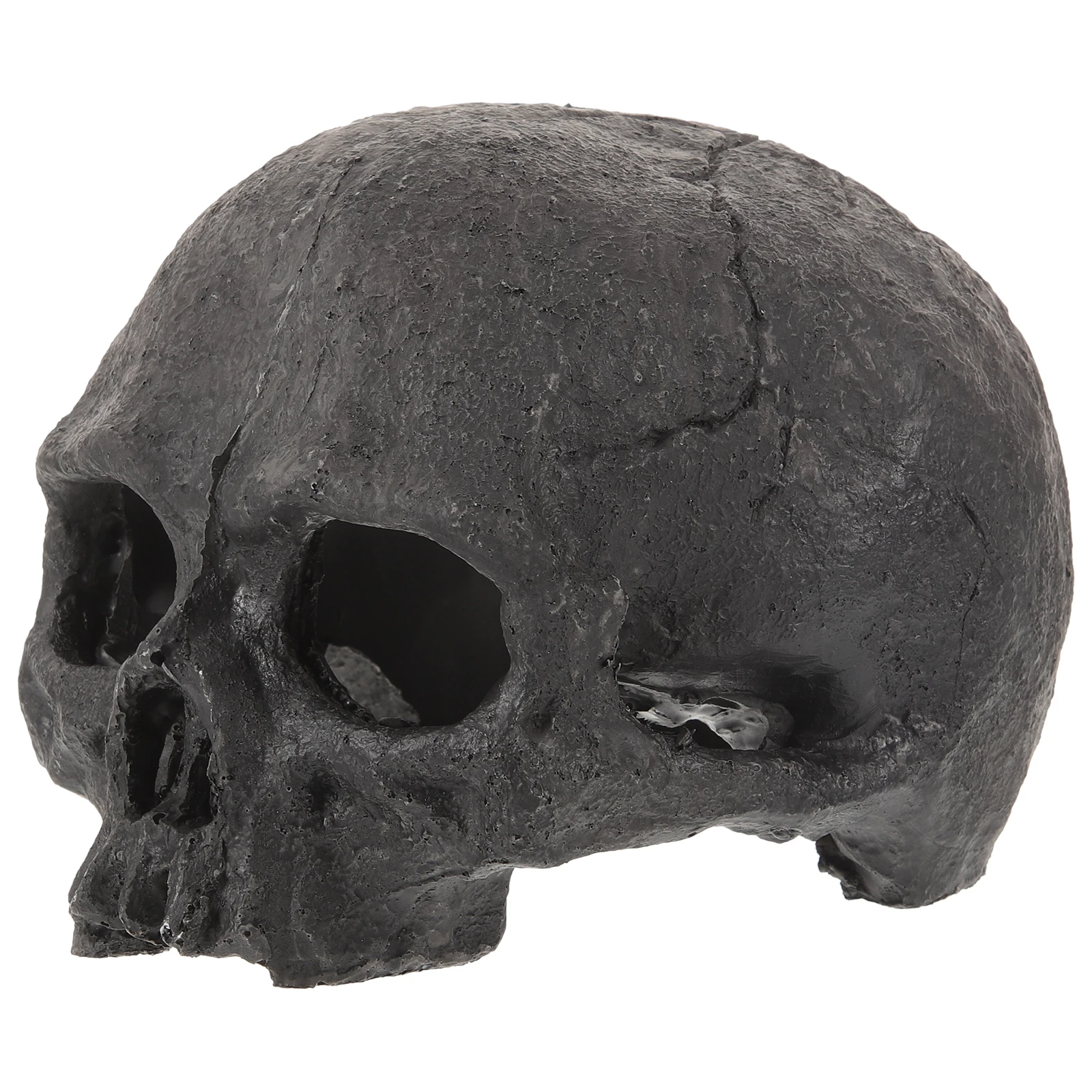 

Skull Ornaments Fish Tank Decorations Lizard Aquarium Resin Reptile Hideout Toy