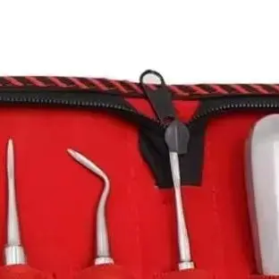13Pcs Stainless Steel Dental Lift Minimally Invasive Tooth Extraction Straightening Curved Dental Lift Dentist Instruments Tool