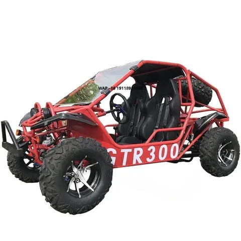 New Go+karts,300cc Gas Go Karts Cheap,karts Gasolina,go Carts 200-300cc, off Road Buggy