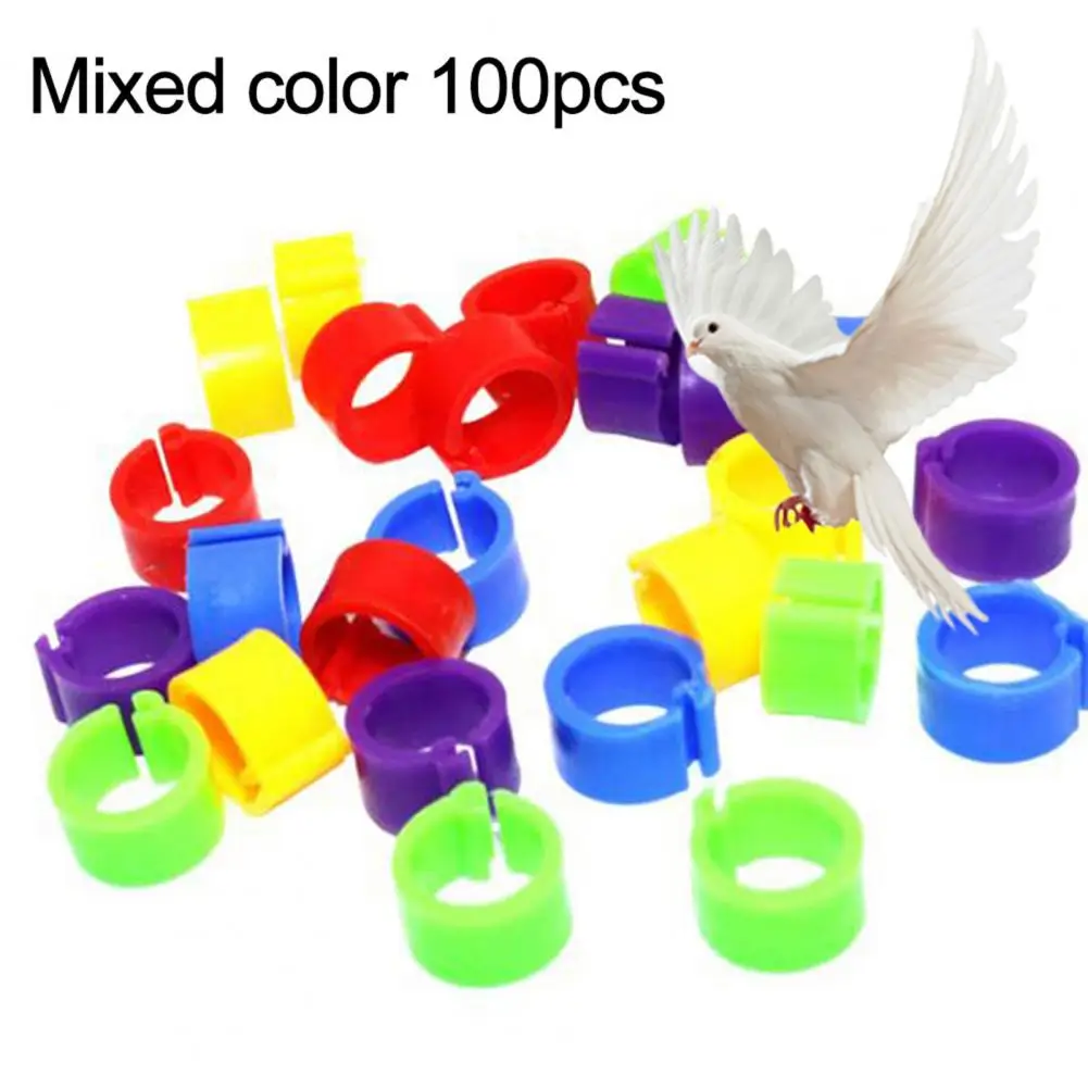 100Pcs Small Parrot Leg Rings Birds Leg Clips Harmless Extensible Plastic Mix Color 8mm Pigeon Foot Ring For Pet Bird Accessory