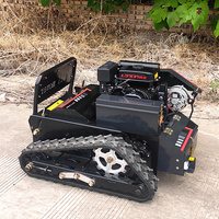 Customized High Efficiency for Sale Remote Lawn Mowers Machine Model  Crawler Remote Control Lawn Mower