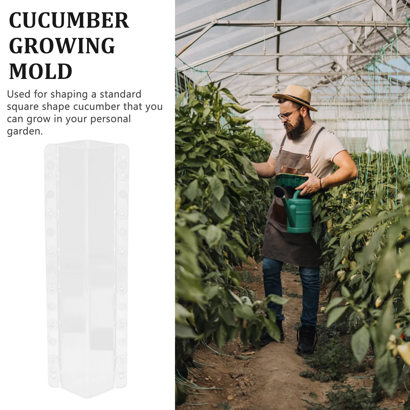 

2pcs Cucumber Melon Mold High Strength Shaping Mold for Garden Fruit Vegetable Growing Square Cucumber Shaper Reliable Precision