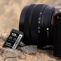 Lexar Professional V30 SD Card for Camera Canon Sony Nikon FUJI U3 SDXC Memory Card 64GB 128GB 256GB 512GB 4K Video Storage Card