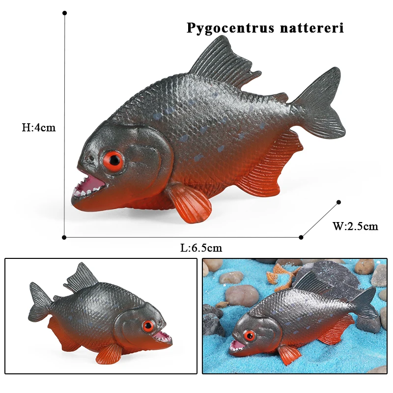 Oenux Sea Life Modell Clownfisch Lachs Bass Marine Ozean Tier Actionfiguren PVC Hochwertige Bildung Miniatur Strand Kinderspielzeug – Detail 8