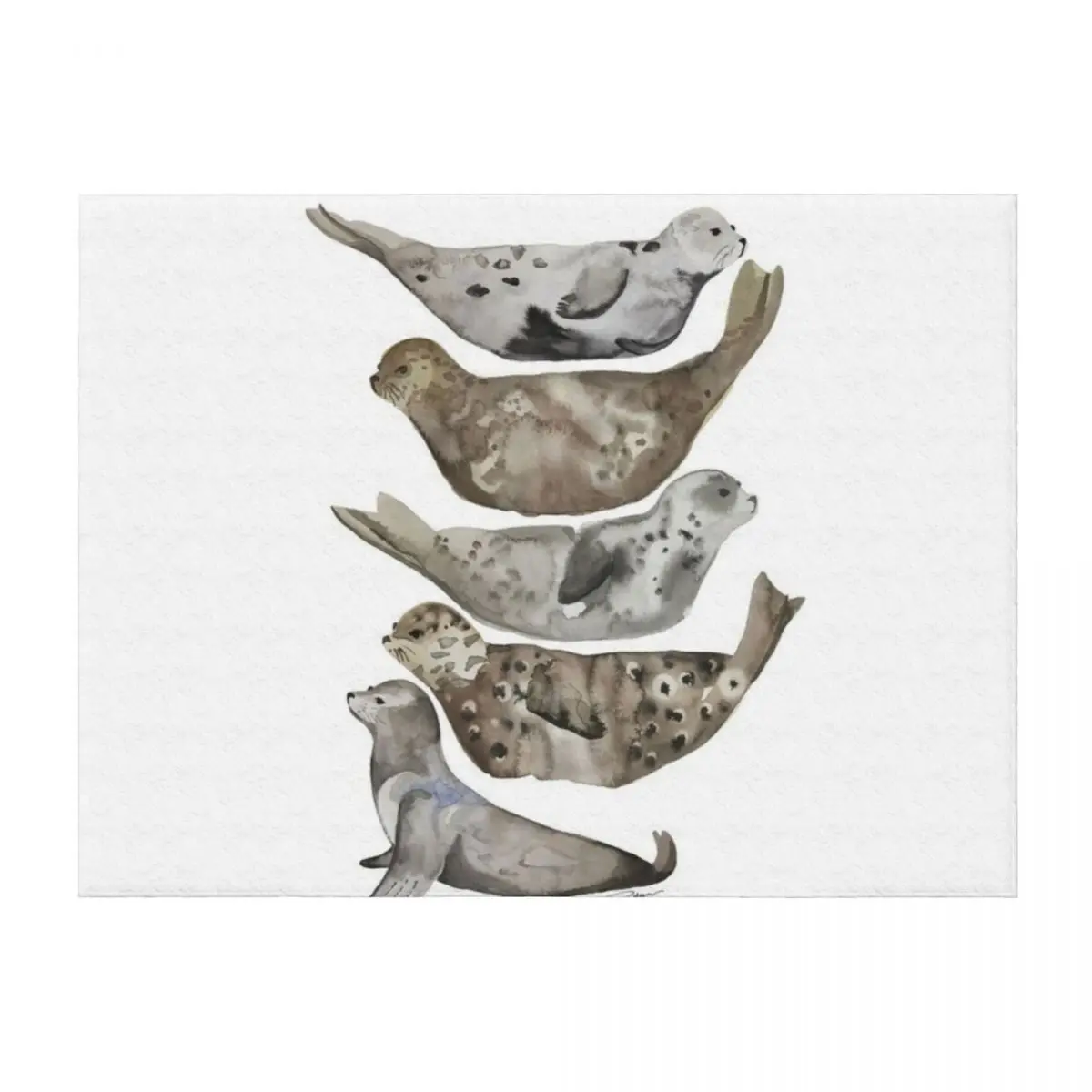 

Seals of La Jolla Throw Blanket Soft Plush Plaid Flannels Polar Thermals For Travel Blankets