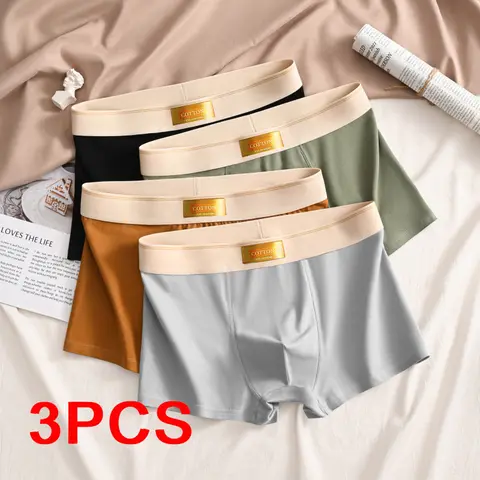 3PCS 럭셔리 남자 팬티 남자 코 튼 통기성 편안한 복서 판매 반바지 남자 팬티 플러스 크기 팬티 속옷 선물