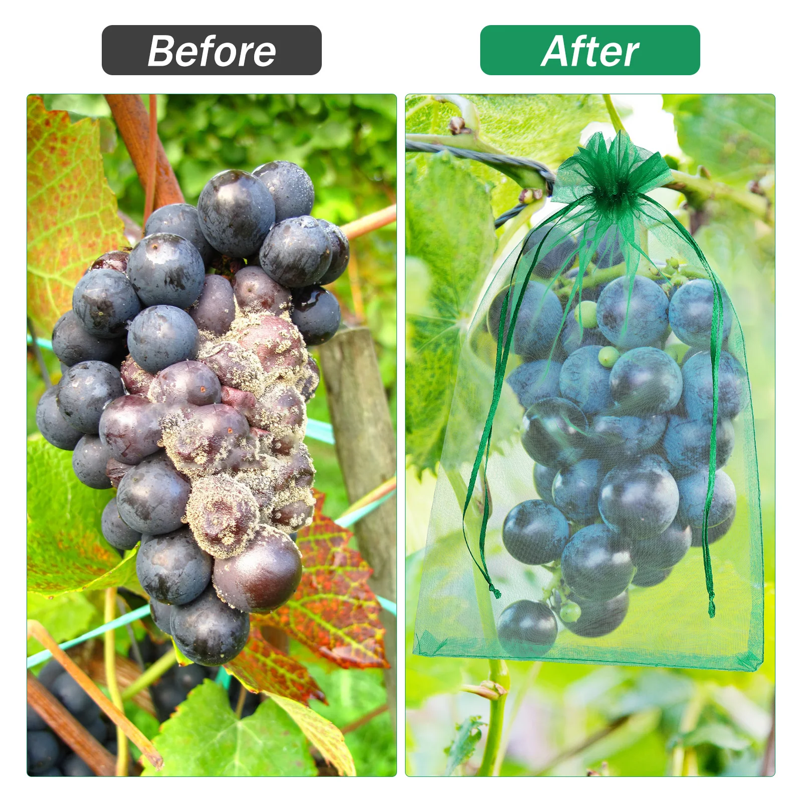 

50 Pcs Fruit Protection Bags 15x20CM 20x30CM Sturdy Mesh Netting For Vegetables Drawstring Green Garden Insect Proof Storage