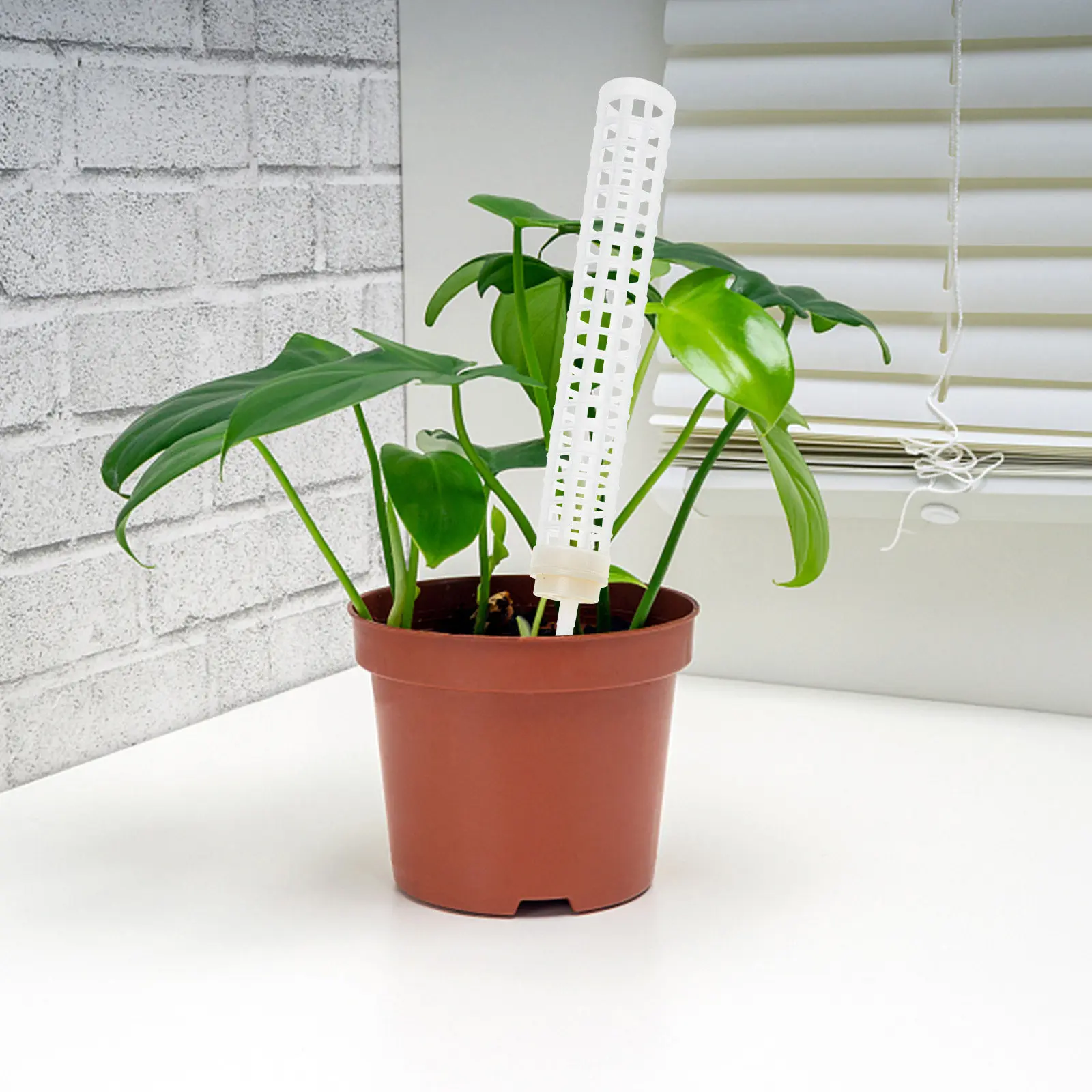 

2Sets Plant Climbing Column Pole Support for Indoor Outdoor Climbing Plants Roses Morning Glory Wisteria
