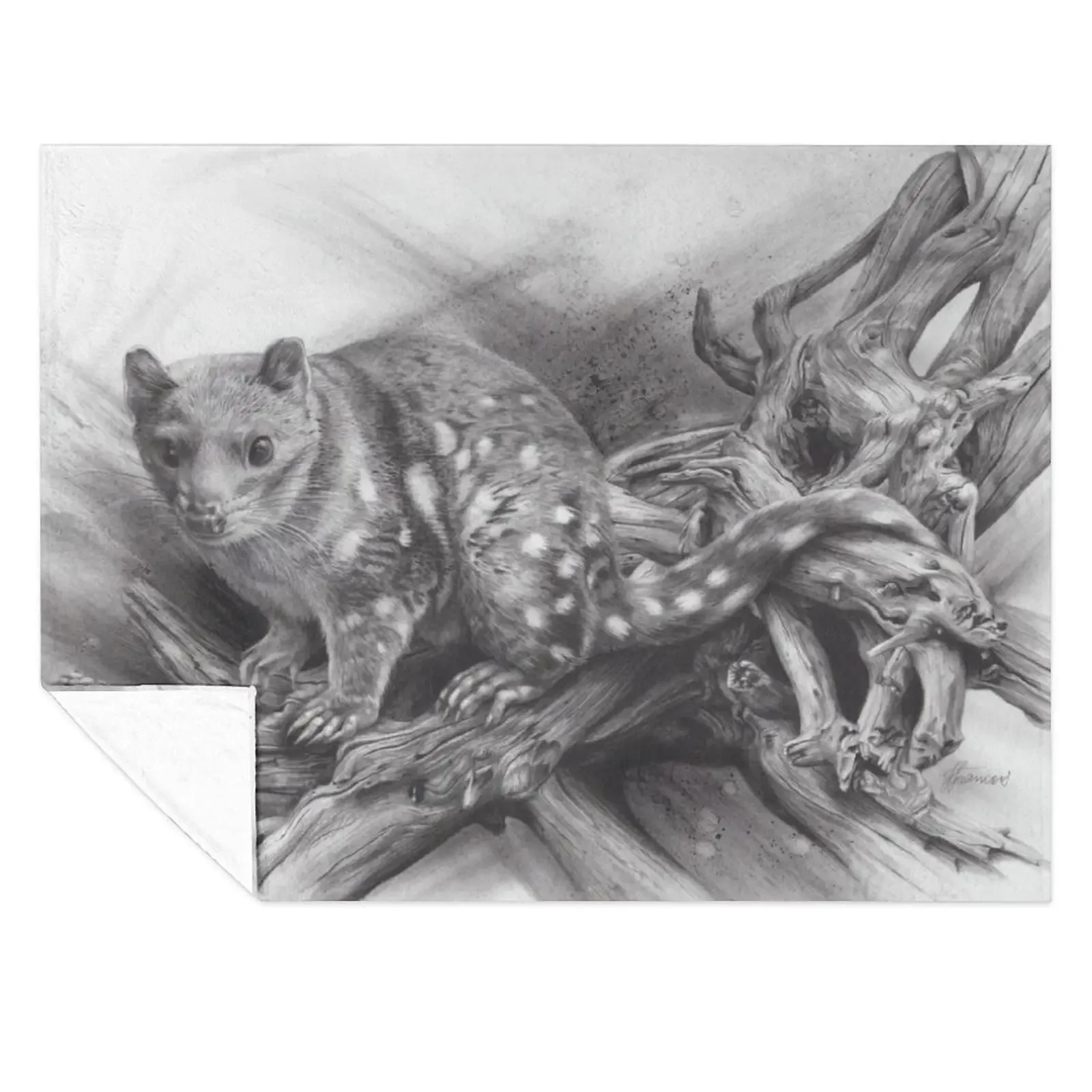 

Spotted Quoll Throw Blanket Thermal Bed Furrys Blankets Sofas Of Decoration Blankets