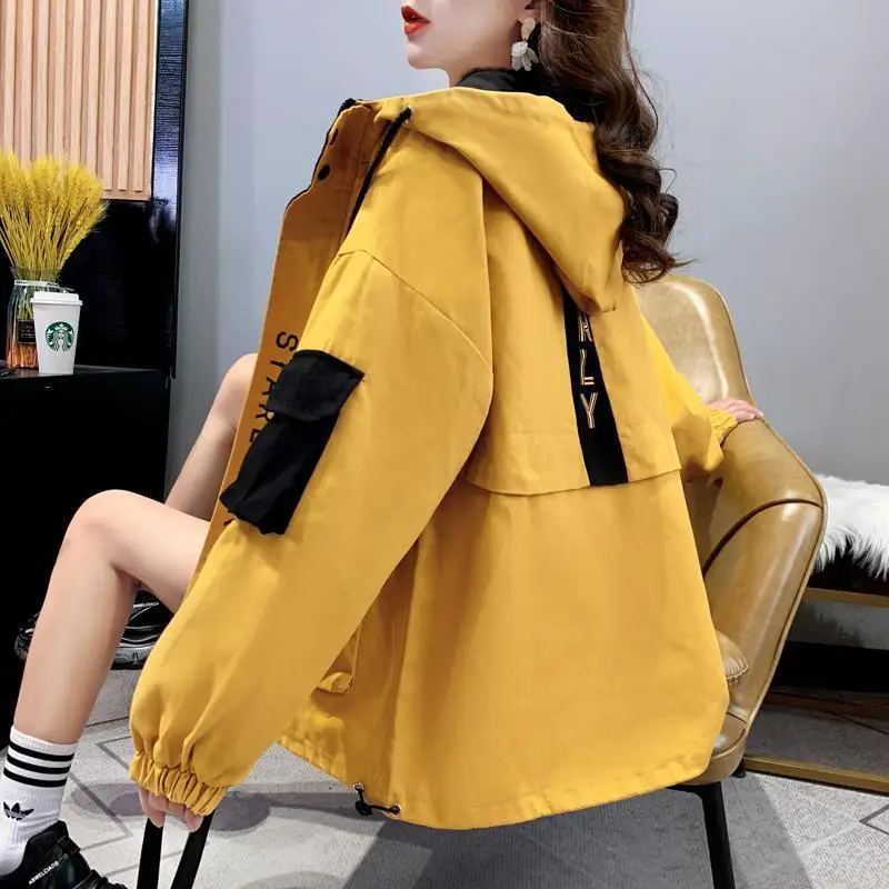 Workwear to Overcome Challenges of Outerwear Women Spring 2024 New Korean Loose and Lazy Style Stylish and Versatile Jacket