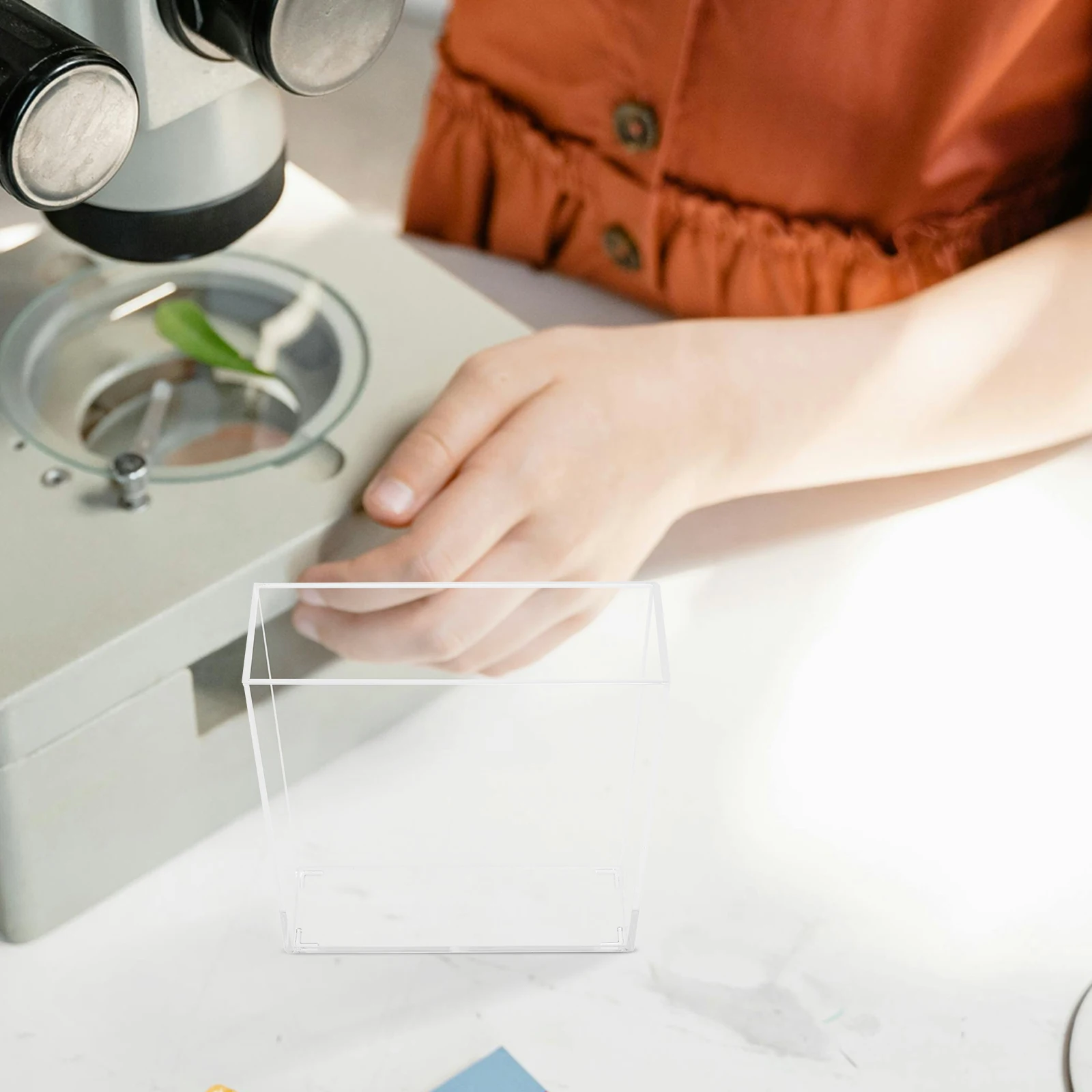 

Root Viewer Kit Kids Small Indoor Greenhouse Transparent Plants Growth BoxToddler Science Germination Seedling Starter Trays