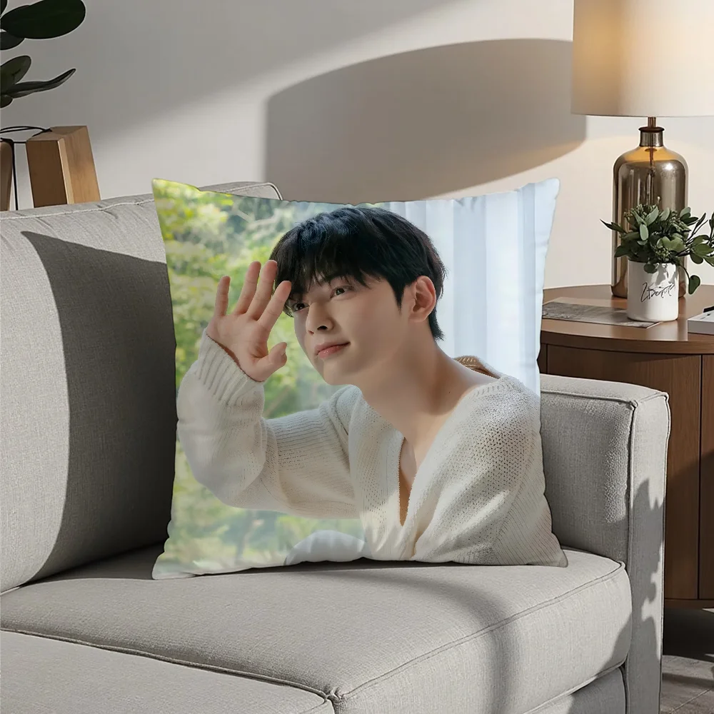 Kpop Singer Cha E-Eun W-Woo Pillow Case Plush Fabric Soft  Pillowcase Double Sided Print Cushion Cover Household Gifts