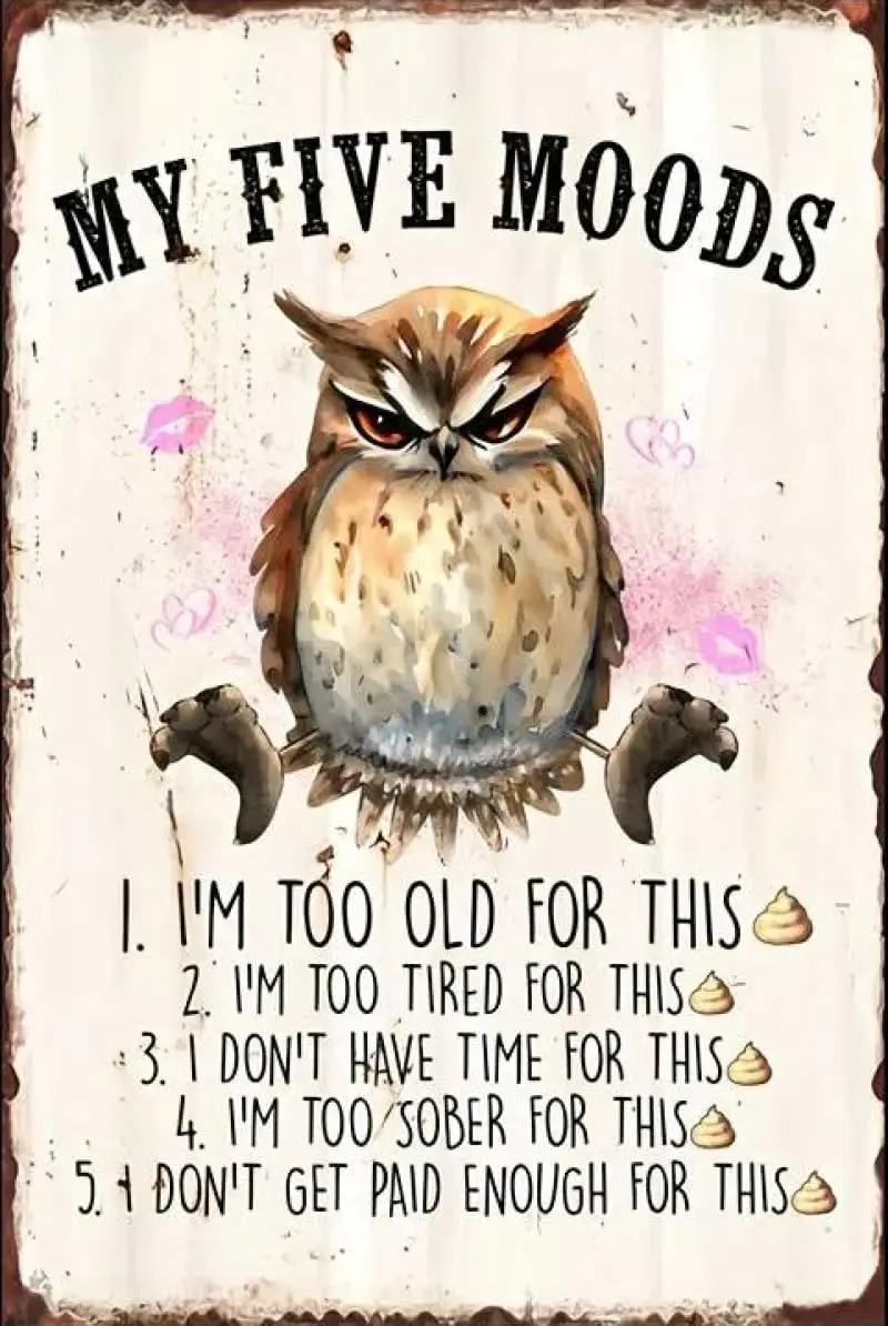 Y1,Owl My Five Mood…