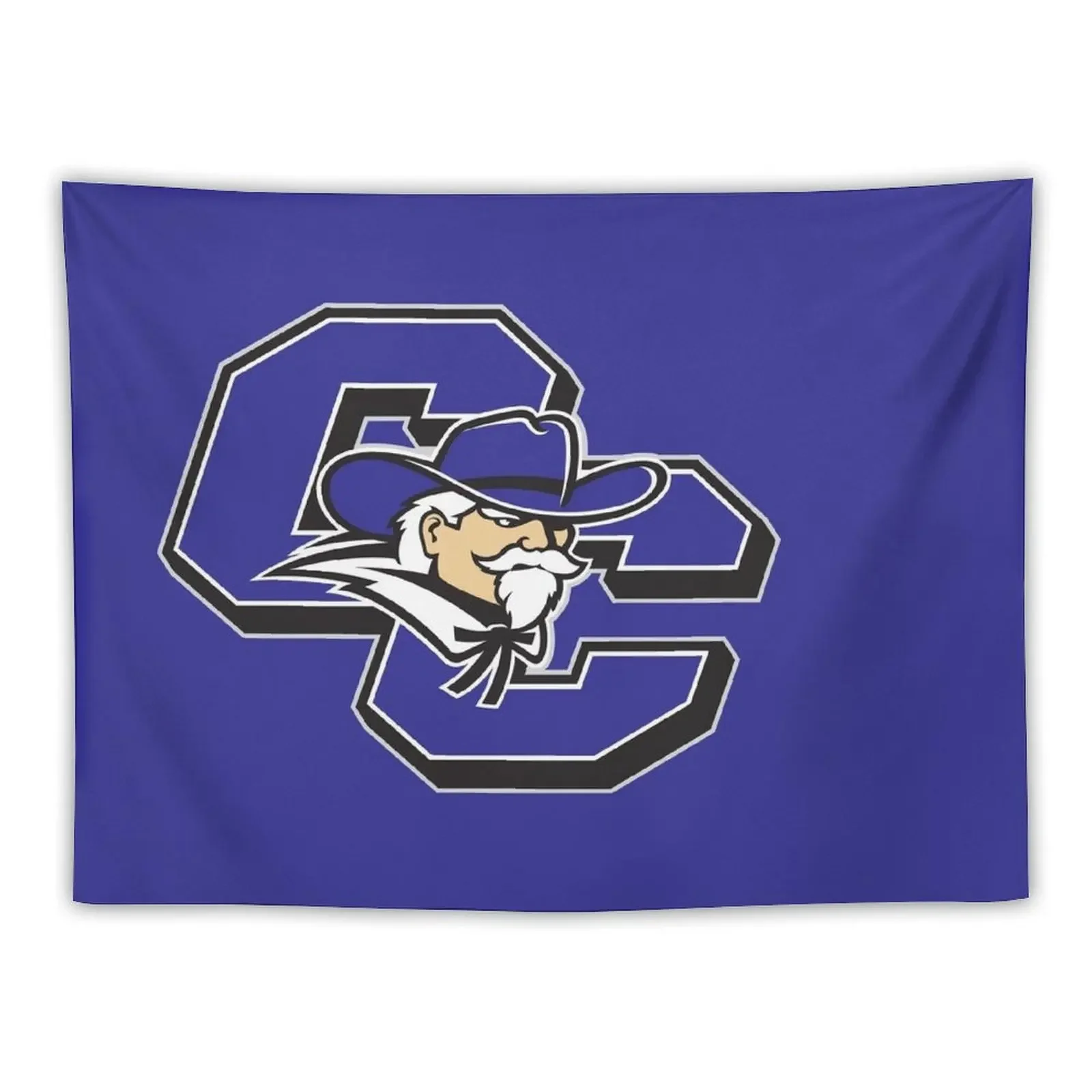 

Curry College Colonels Tapestry Decoration Aesthetic Wall Decor Hanging Korean Room Decor Aesthetic Room Decors Tapestry