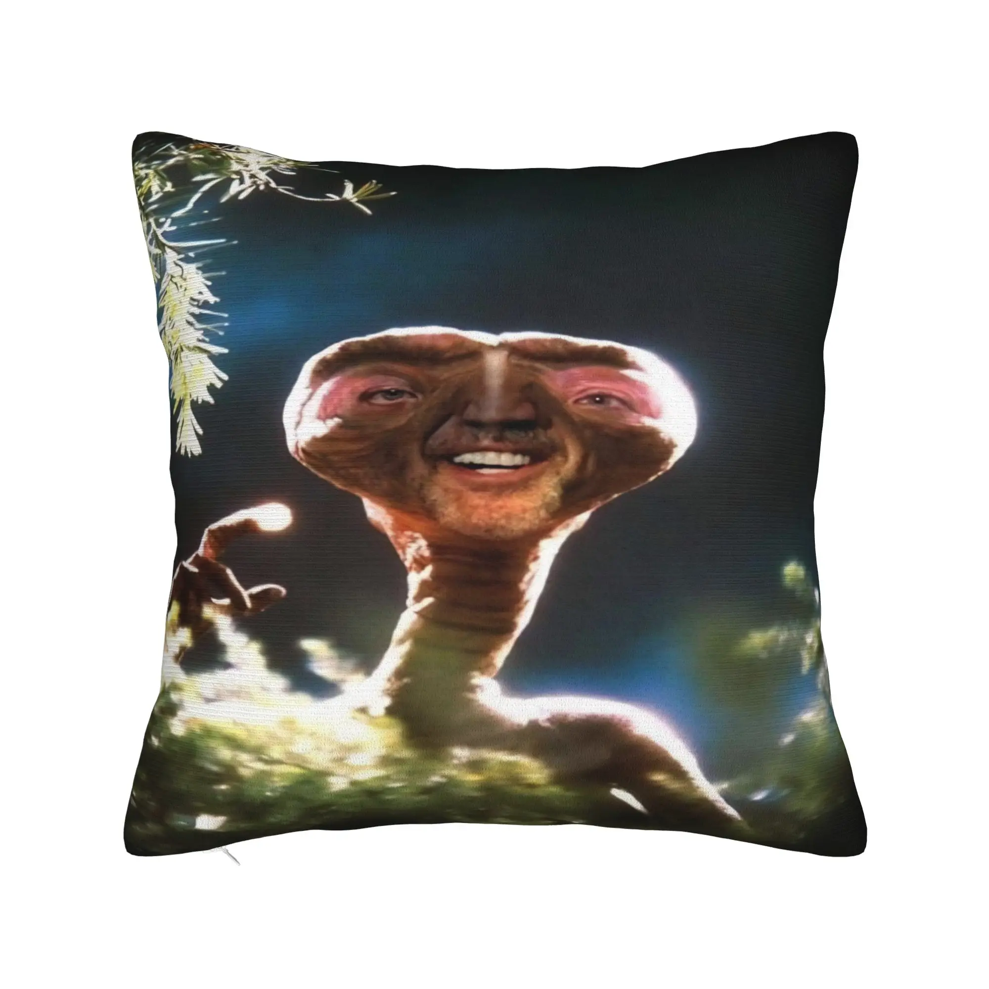 Soft and Sweet Seat Nicolas Cage Decor Pillowcase Stuff  Pillow Cover Square Multiple Sizes