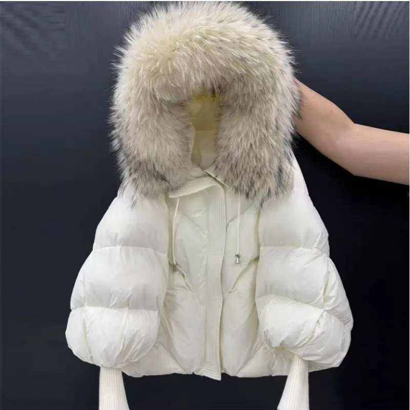New Wool-neck Hooded Down Jacket Winter Thickened Warmth Loose Duck Down Coat Fashionable Simple Commuting Warm Women's Clothing