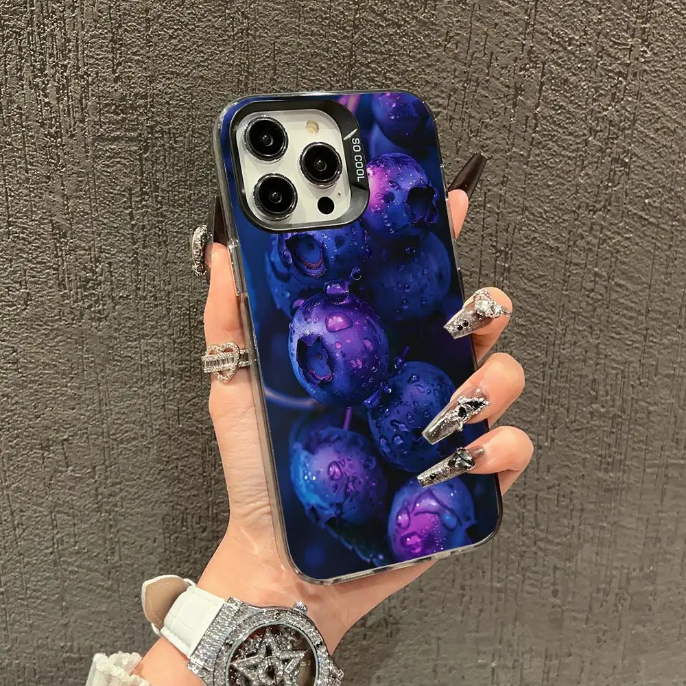 

Blueberry fruit design case for iPhone 16 15 14 13 12 11 Pro/ Max/Plus shock-proof rear cover anti-fingerprint