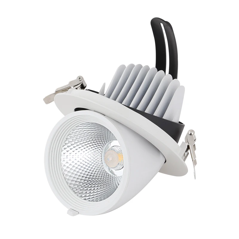 

10W/20W/30W/40W LED Trunk Downlight COB Ceiling AC85-265V Adjustable recessed Super Bright Indoor Light cob led downlight