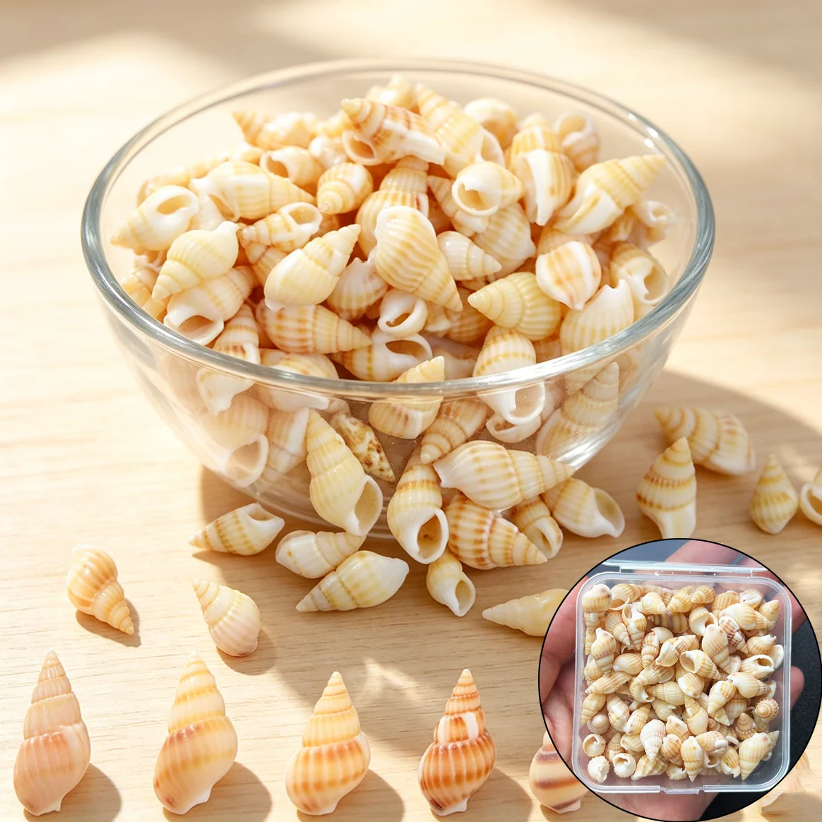 

Box Packed Natural Tiny Conch Shells about100Pcs, Small Sea Shells for Aquarium Decor Jewelry Making Decorative Accessories