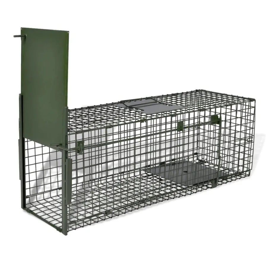 

Life Trap 1 door, 2025 year