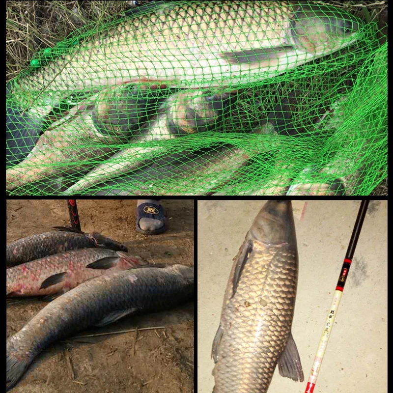 Specialized baits for Chinese-style fishing  grounds Become a Fishing King with Special Lures for the Fishing Ground