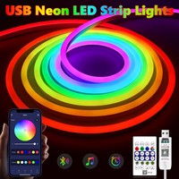 5V USB Neon LED Strip Lights 1/2/3/5M Waterproof RGBIC Neon Lamp Tape Bluetooth Remote Control For Home Party Christmas Decor