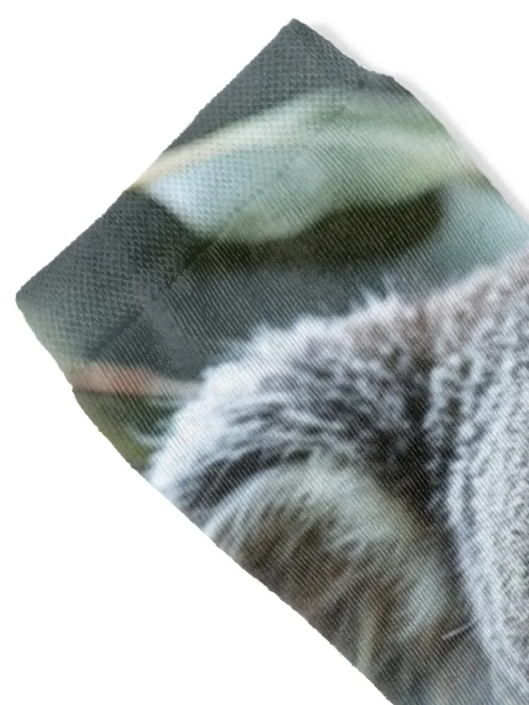 حمية الكوالا الخاصة: أسرار جوارب الأوكالبتوس مصمم جوارب سعيدة للرجال والنساء #2