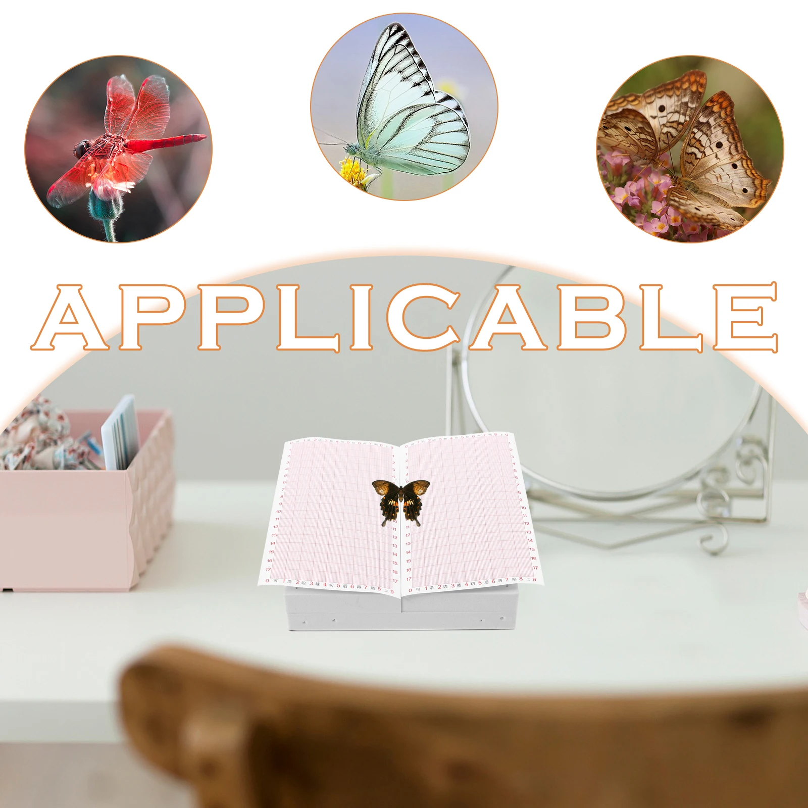

Fin Spread Plate Specimen Butterfly Wing Display Insect Pinning Board Spreading Tool