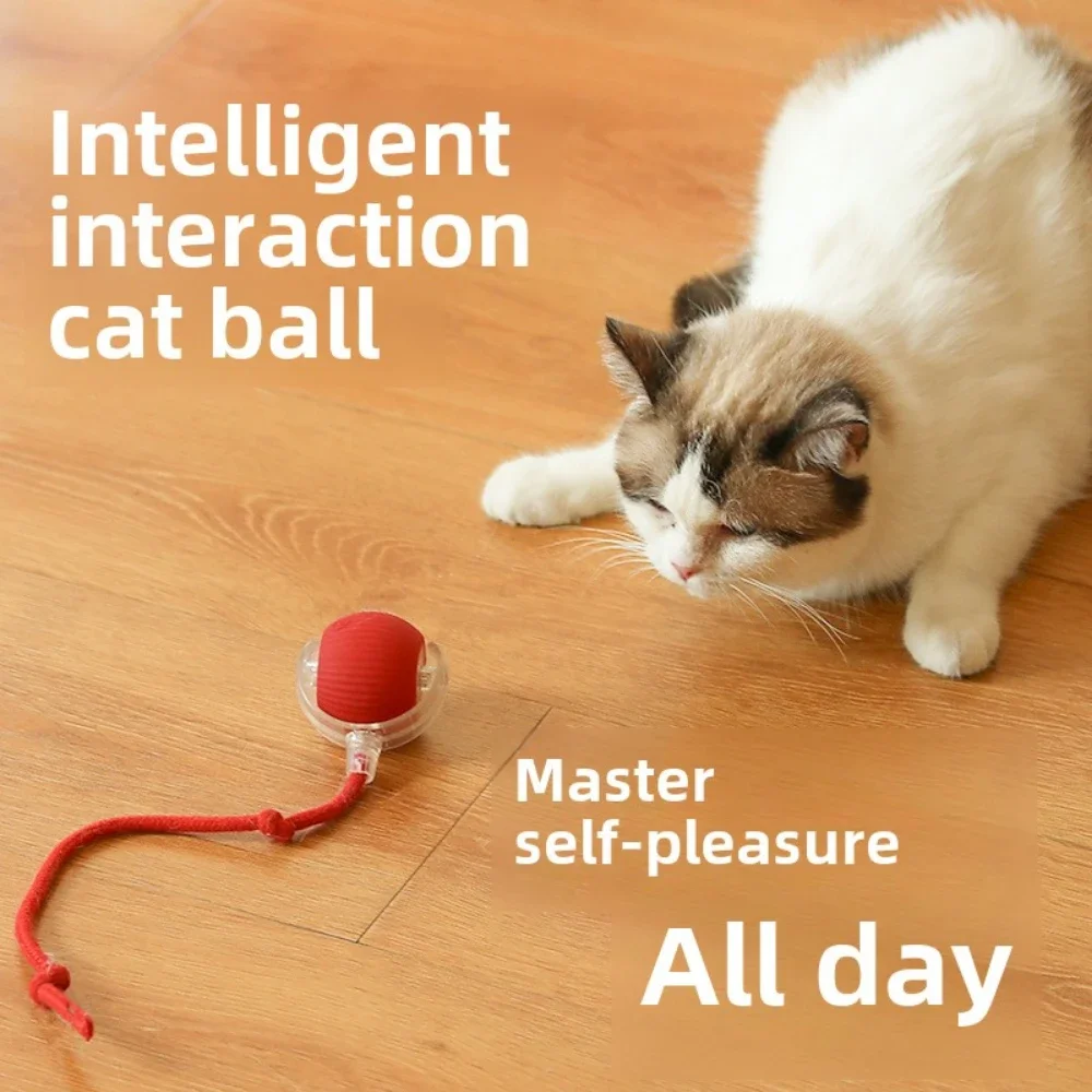 Electric Cat Ball Toy Automatic Rolling Fake Tail Ball Rechargeable Pet Interactive Toy Accessories for Cats Toys Things Games