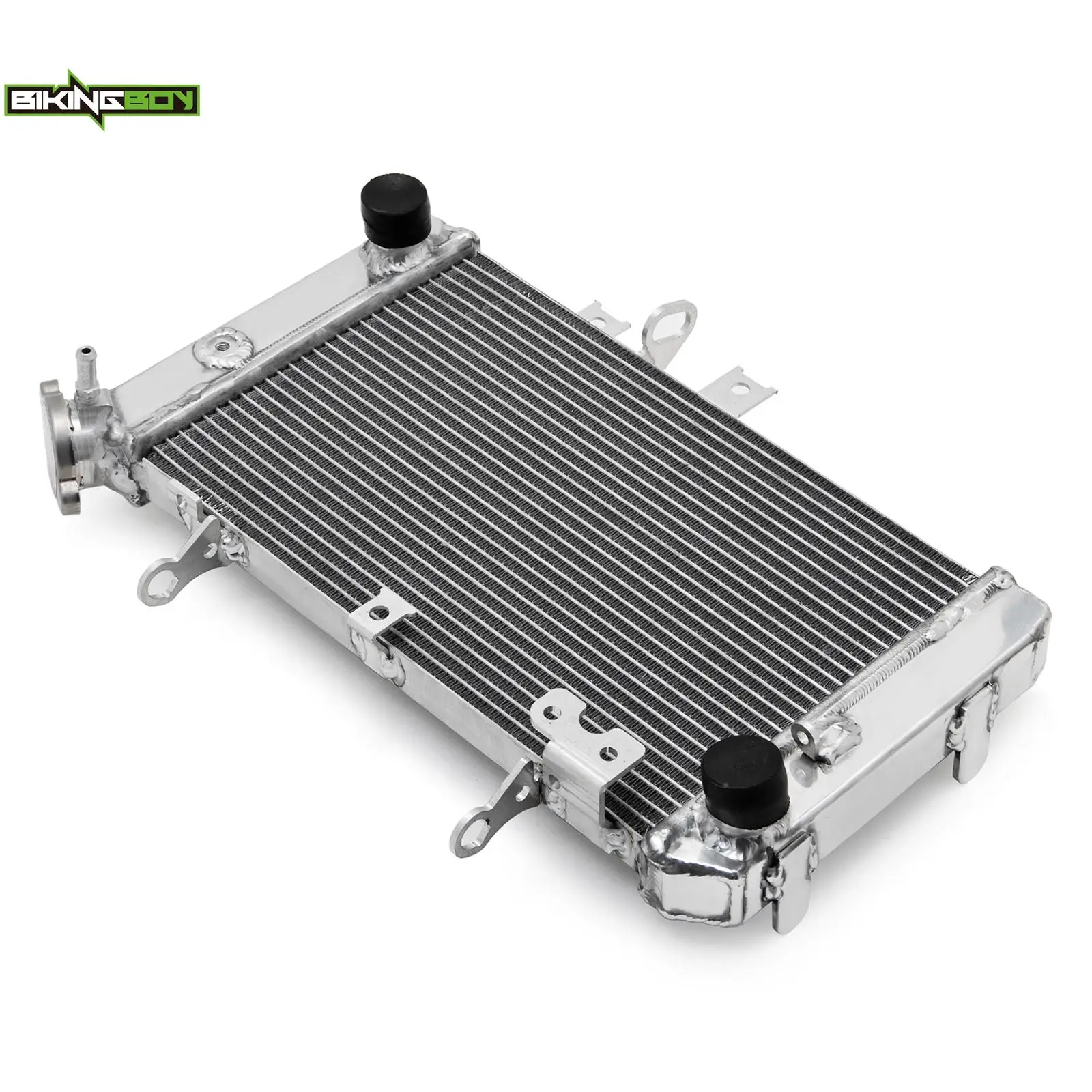 BIKINGBOY Für DL 650 V-Storm 04 05 06 07 08 09 10 11 12 13 14 15 16 17 18 19 20 21 22 23 24 DL650 Motor-Kühler – Detail 6