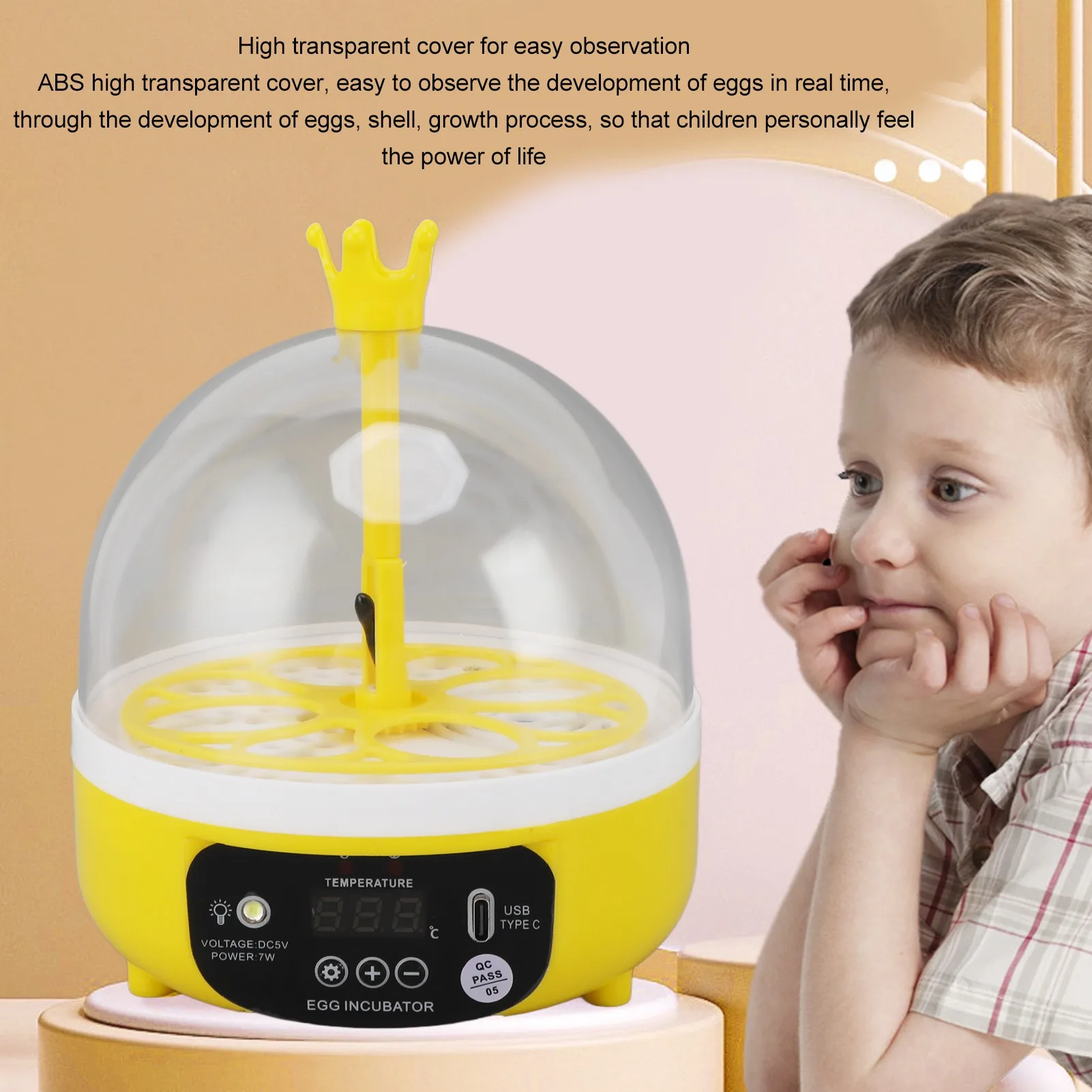 Poultry Hatching Machine 4 Eggs Transparent Lid Automatic Temperature Humidity Control Egg Incubator for School