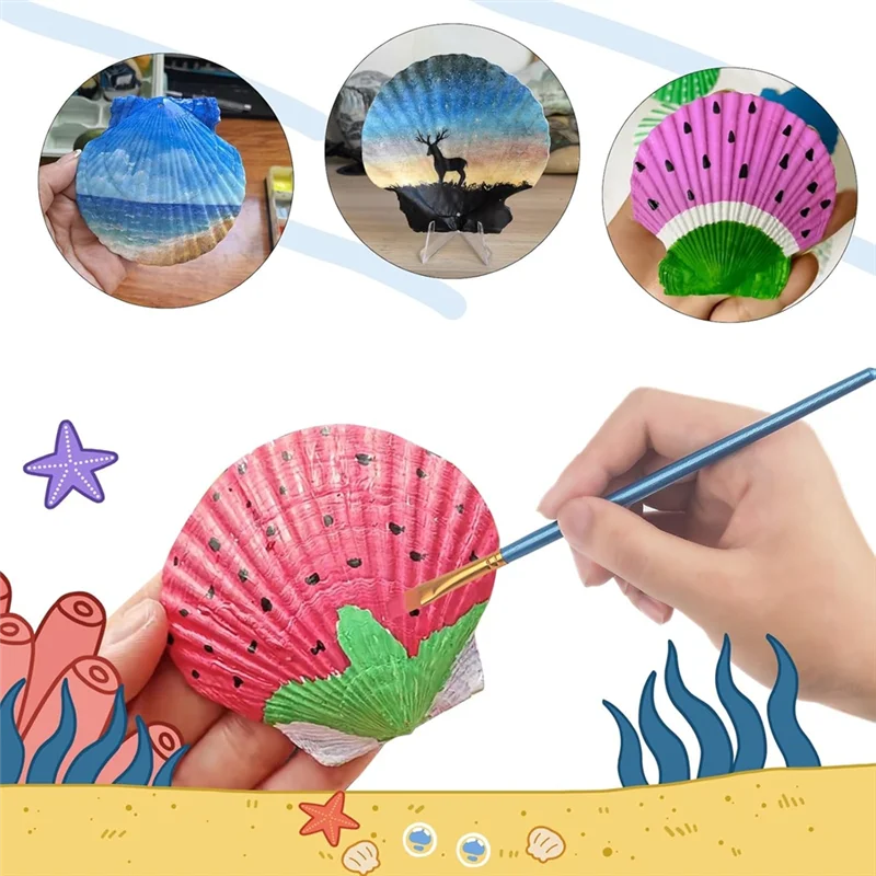 

ABZV-Scallop Shells Seashell от 4 до 5 дюймов, большие гребешки с кисточками и полосками акриловой краски для декора поделок
