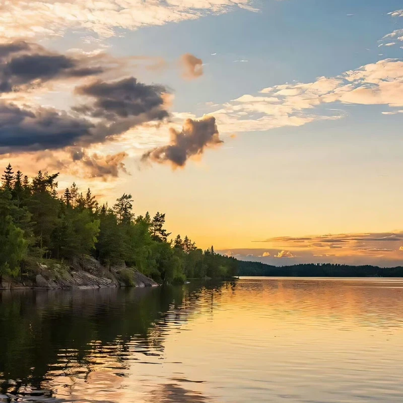 

Creative Disposable Self Adhesive Luminous Cat Cute Breast Petals Sexy Nipple Stickers Invisible Bra Nipple Cover 1 pair (2 pcs