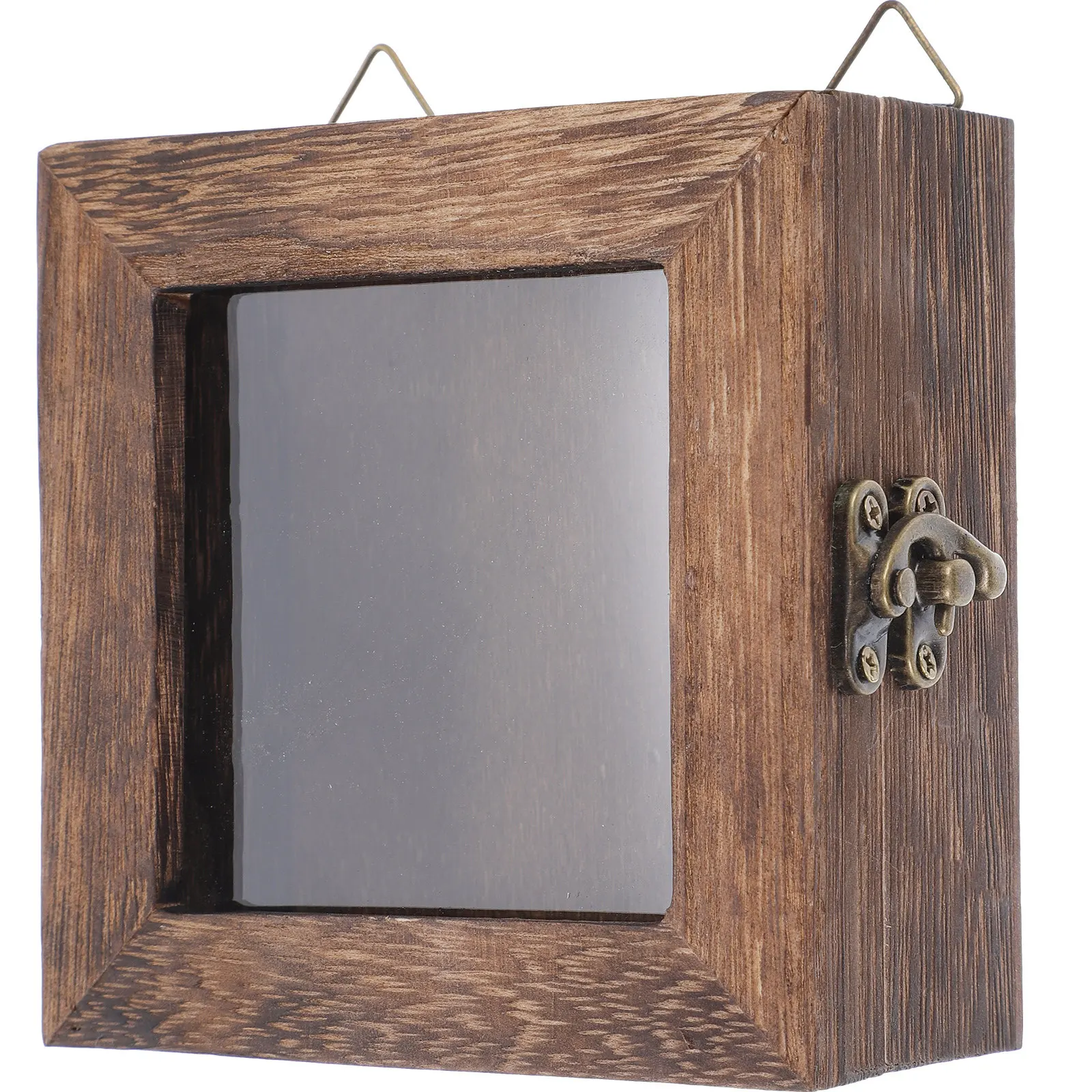 Insect Display Box Specimen Frame for Butterflies Pressed Flowers Wooden Shadow Box Wall Decor