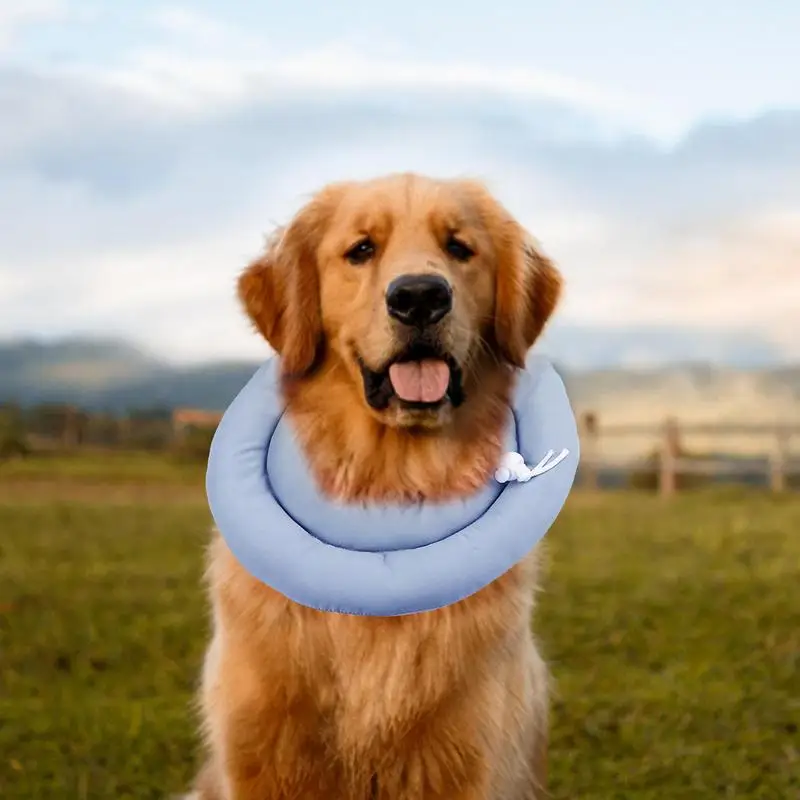 Soft Dog Cone Cute Cat Cone Collar Dog Elizabethan Collar Adjustable Wounds Recovery Collar Waterproof Dog & Cat Neck Cones For