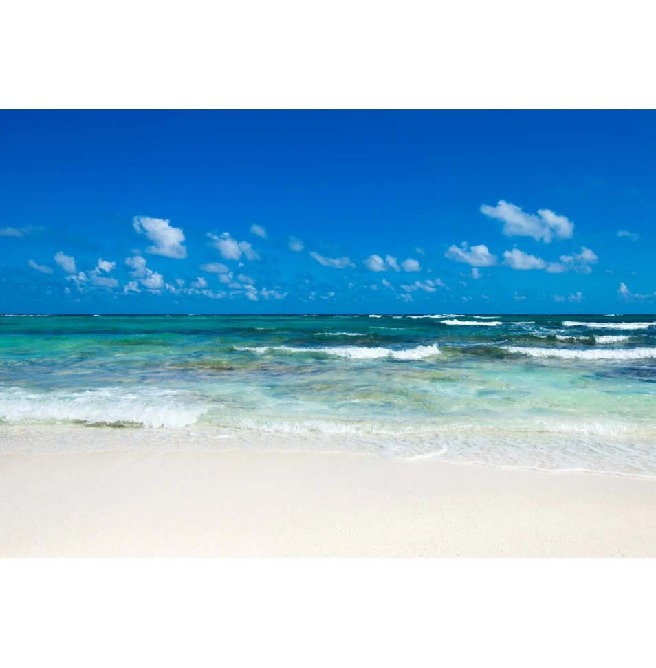 Sea Backdrop Seaside Beach Ocean Blue Sky White Clouds Coconut Tree Birthday Party Wedding Photography Background Photozone Prop