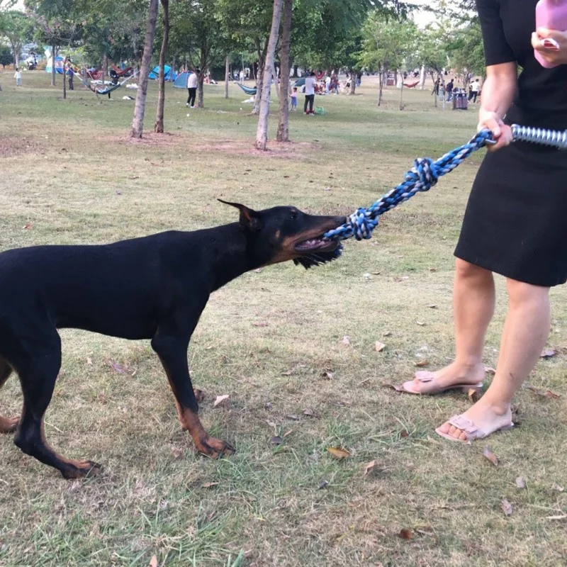 Spring Pole Dog Rope Toy Dog Tug Of War Toy Outdoor Pet Exercise Rope