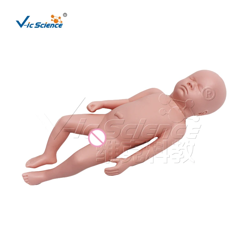 A baby model that can be passed through the pelvis