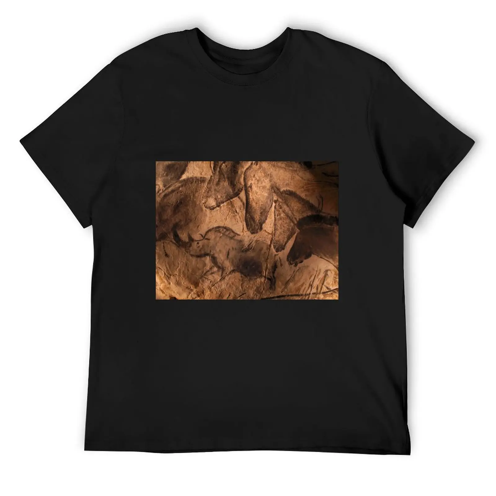 

Stone-age cave paintings, Chauvet, France (C009/7647) T-Shirt