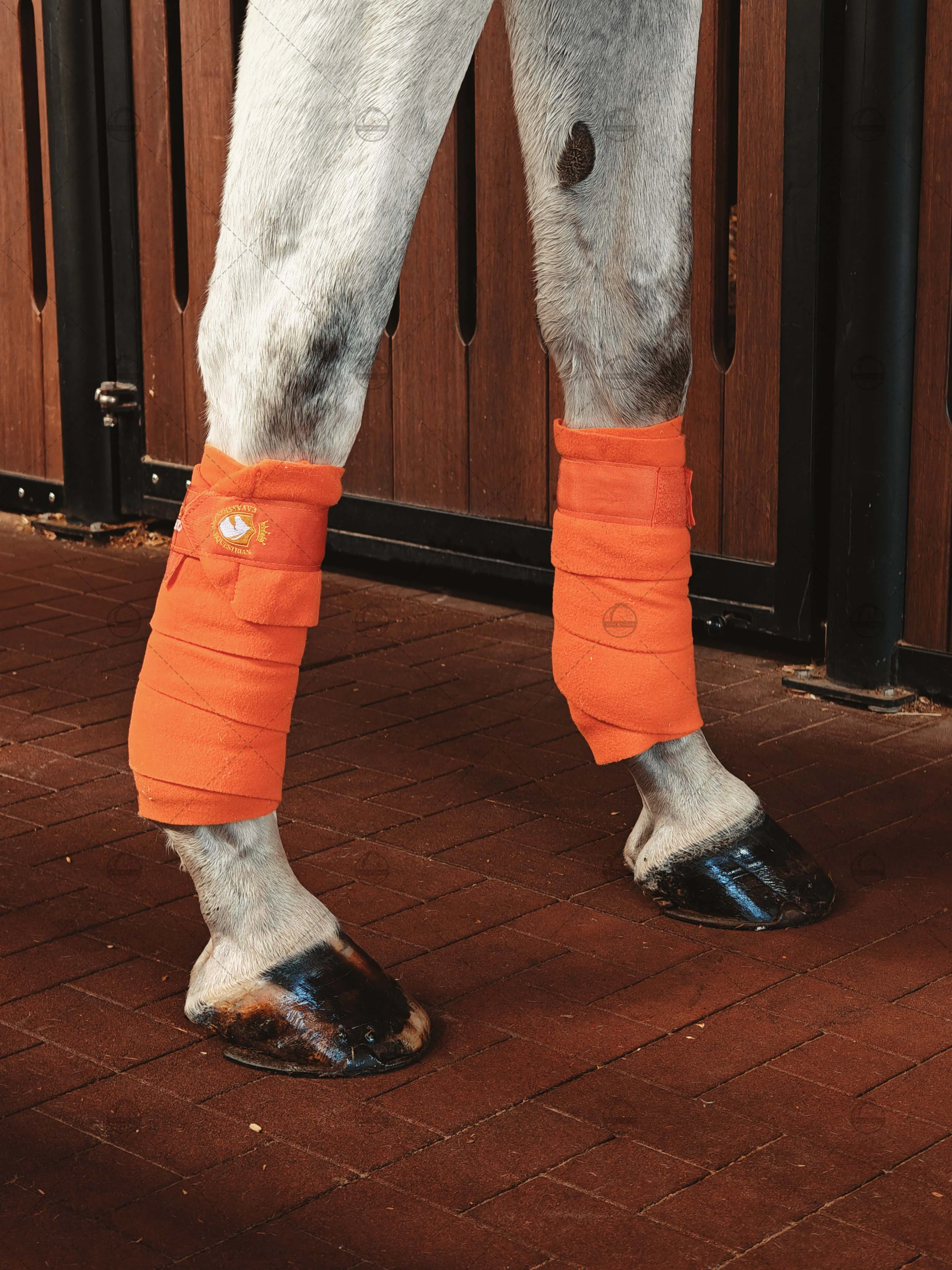 Cavassion Saddlery Horse Leg Bandage Equestrian Keep Leg Guards Horse Leggings8216069