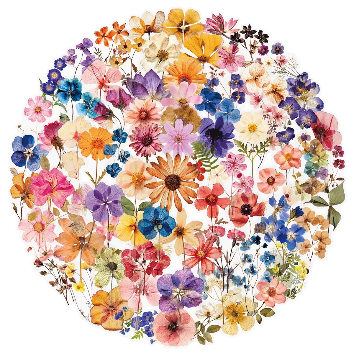 50/100Pcs Transparent Retro Dr - огляд і ціна Dried Flower Bouquet