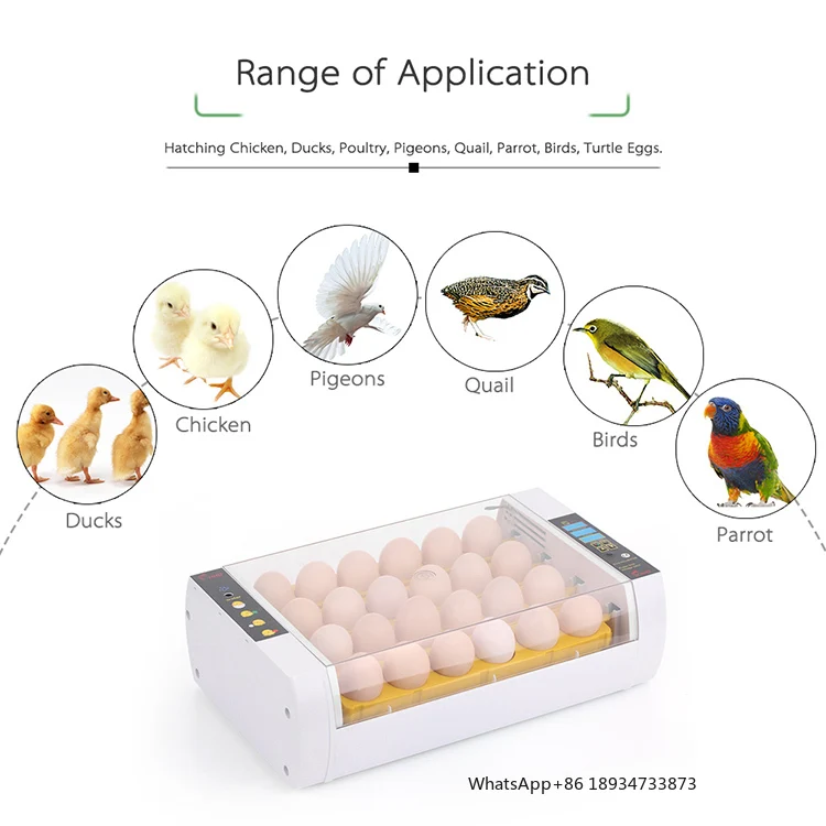 HHD hot sale 2 fans design automatic smart love birds mini controller chicken bird egg incubator YZ-24A