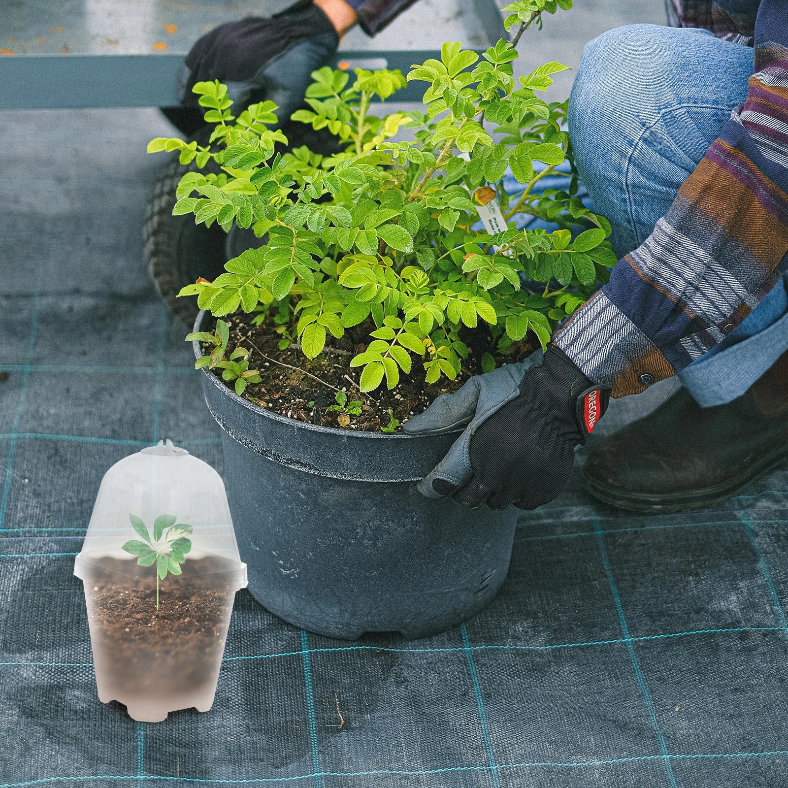 

10 Sets Small Square Plastic Pots Durable Eco Friendly Garden Yard Plant Germination Cups Growing Boxes Sowing Pots Lids Flower