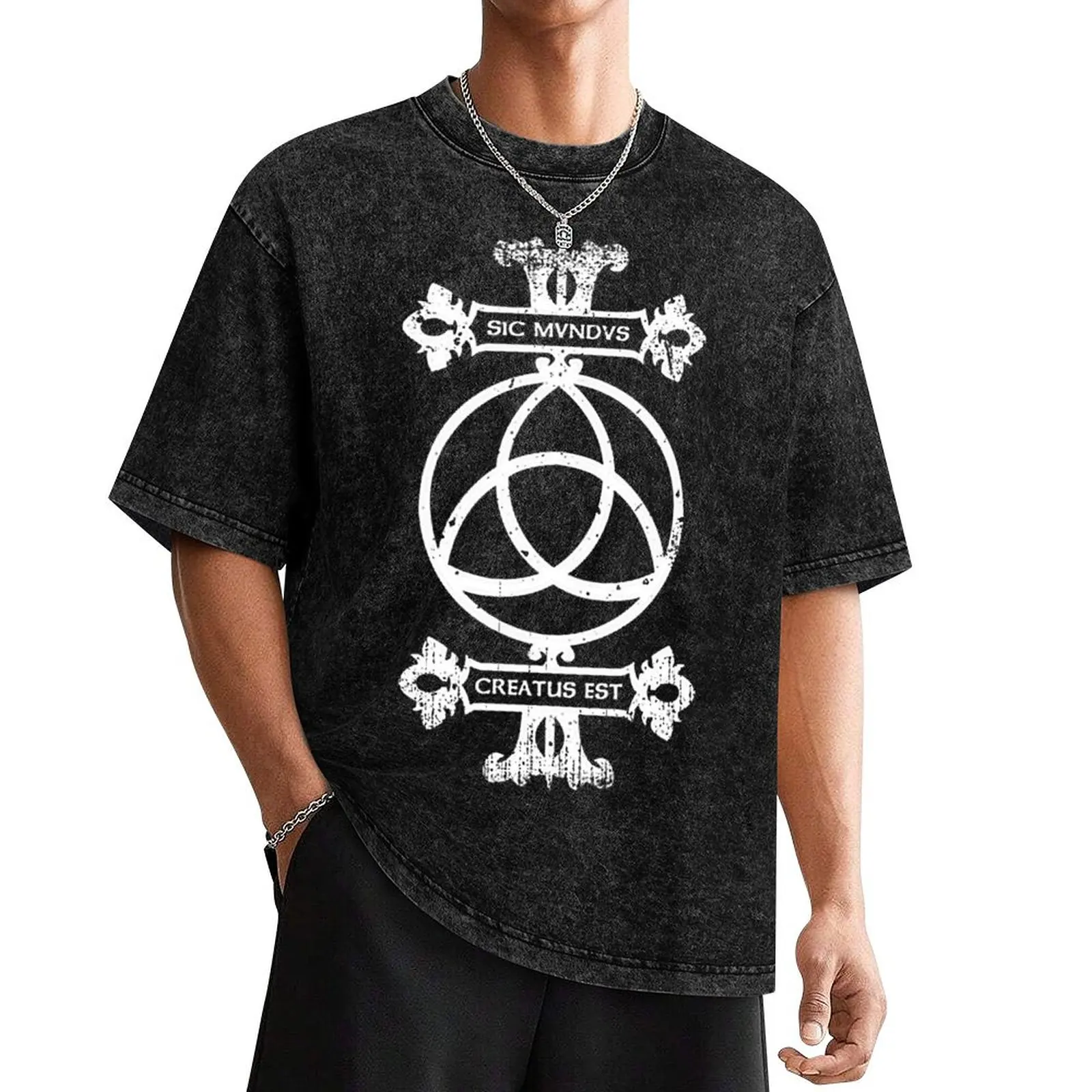 

Sic mundus creatus est T-Shirt plus size tops Blouse cute clothes mens graphic t-shirts pack
