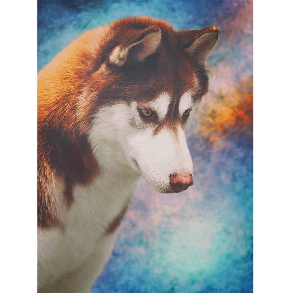 Animal Dog Husky Pre-Printed 11CT Cross Stitch Complete Kit Embroidery DMC Threads Sewing Handiwork Knitting Handmade   Design