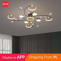 Interior Ceiling Lamp With remote control LED Dimmable Living Room Dining Room Bedroom Decoration Modern Ceiling Light Fixtures