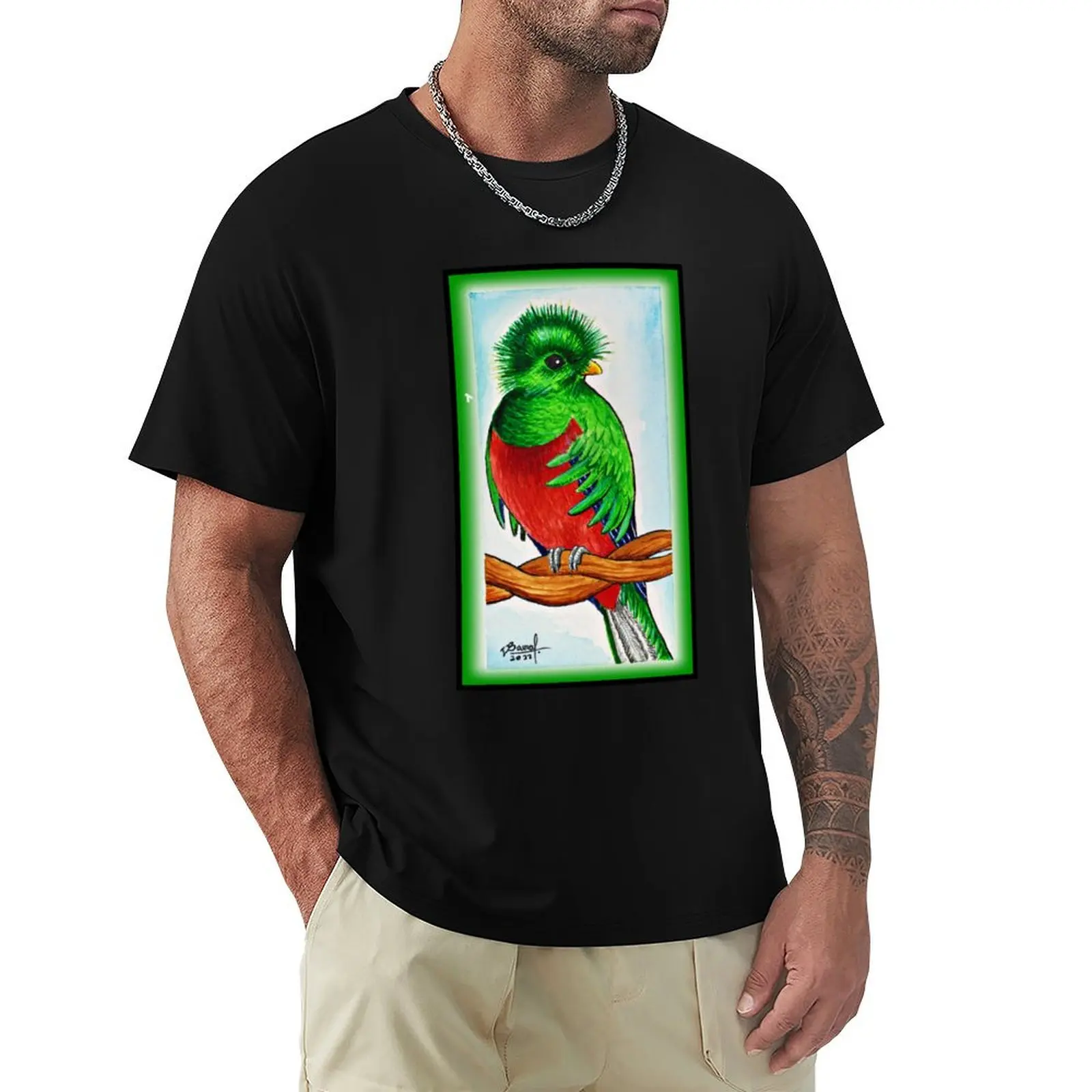 

the quetzal T-Shirt Aesthetic clothing Man t-shirt graphic t shirt vintage Short sleeve tee men
